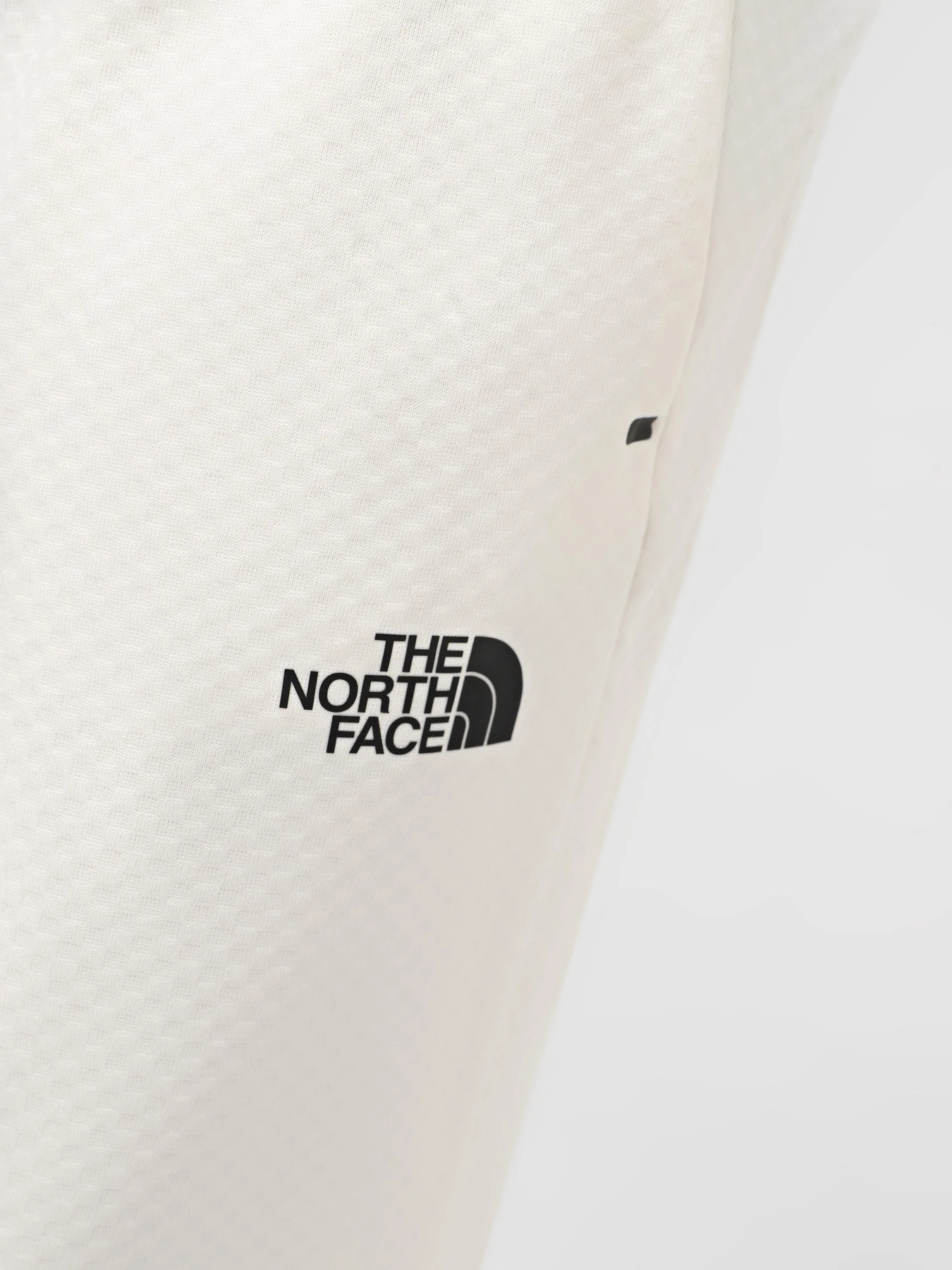 Брюки The North Face M Ma Lab Jogger модель NF0A88F6QMO1 Брюки The North Face M Ma Lab Jogger модель NF0A88F6QMO1 Фото