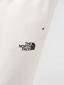 Брюки The North Face M Ma Lab Jogger модель NF0A88F6QMO1 Фото