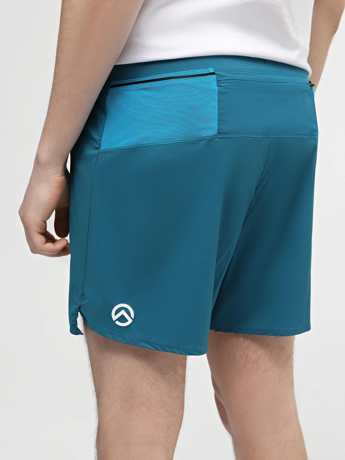 Шорты The North Face M Summit Pacesetter Short 5in модель NF0A88S6UIE1 Фото