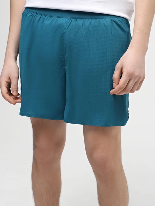 Шорти The North Face M Summit Pacesetter Short 5in модель NF0A88S6UIE1 Фото