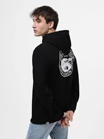 Худи и свитшоты The North Face Graphic Collection Full-Zip Fleece модель NF0A7R4PJK31 Фото