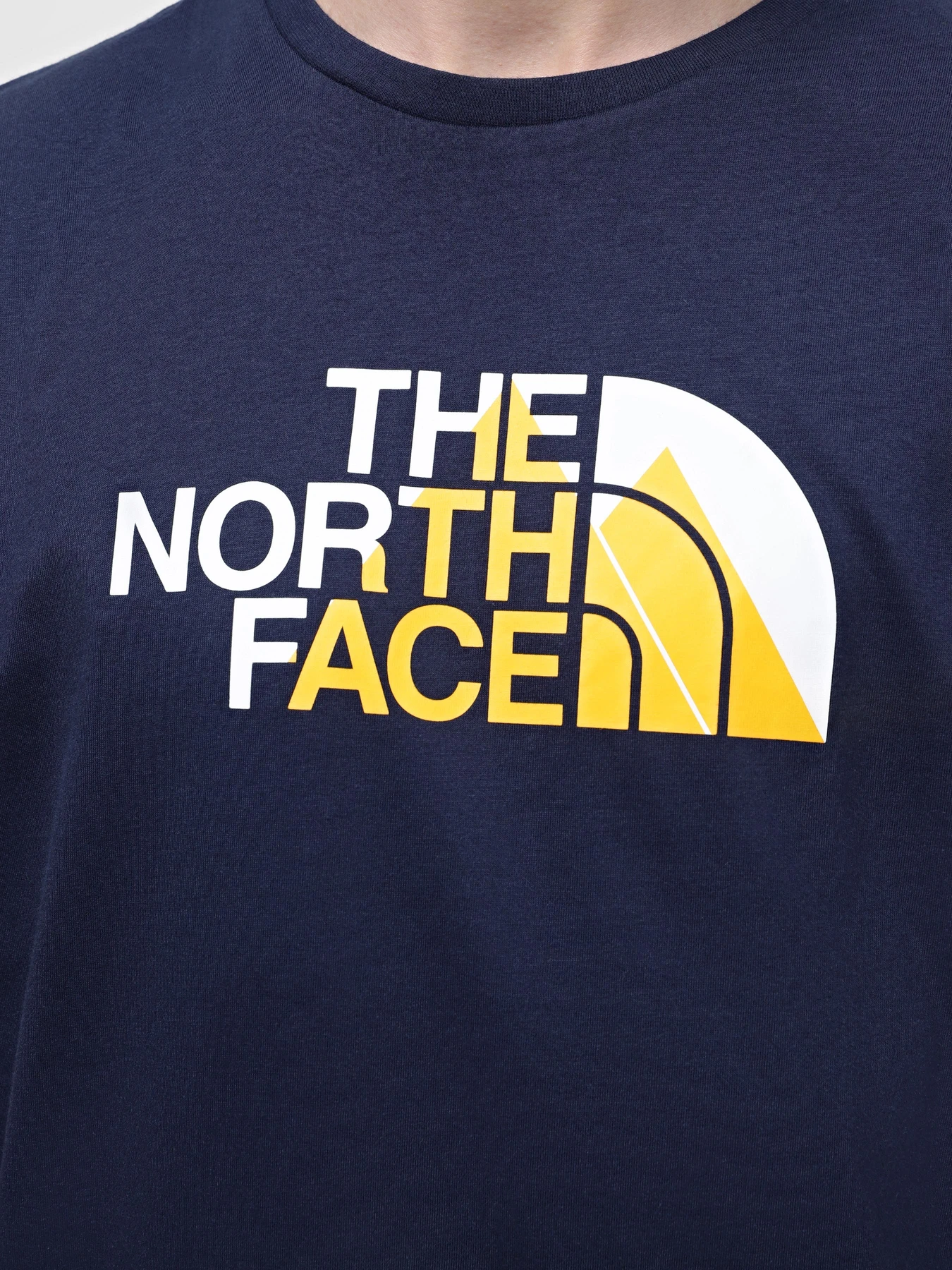 Футболки и поло The North Face Biner Graphic 1 модель NF0A894X8K21 Футболки и поло The North Face Biner Graphic 1 модель NF0A894X8K21 Фото