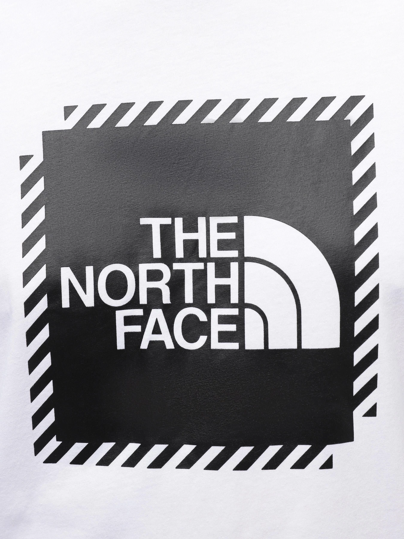 Футболки и поло The North Face M Biner Graphic 2 Tee модель NF0A894YFN41 Футболки и поло The North Face M Biner Graphic 2 Tee модель NF0A894YFN41 Фото