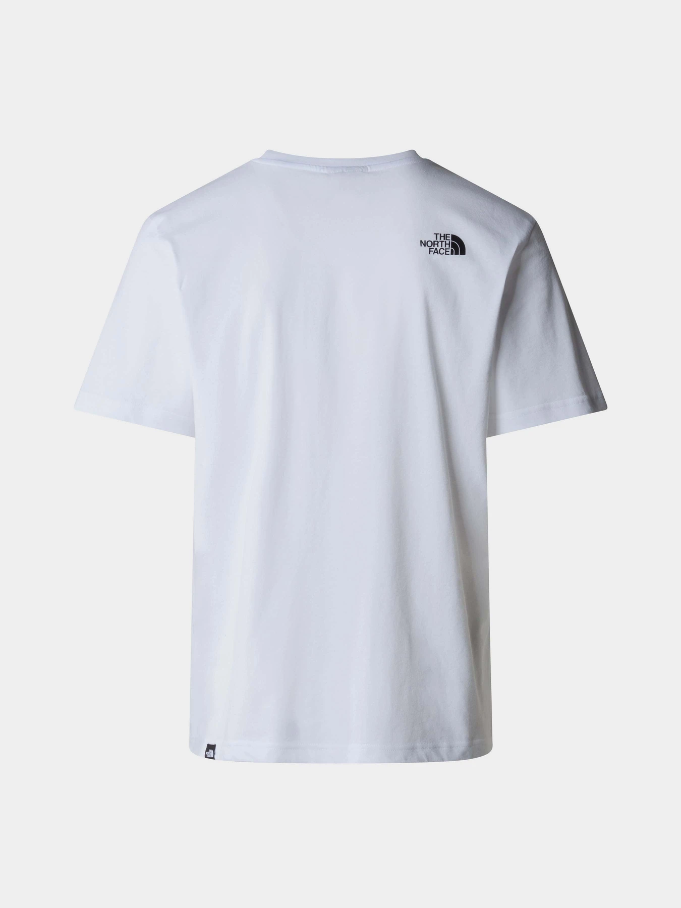 Футболки и поло The North Face M Biner Graphic 2 Tee модель NF0A894YFN41 Футболки и поло The North Face M Biner Graphic 2 Tee модель NF0A894YFN41 Фото