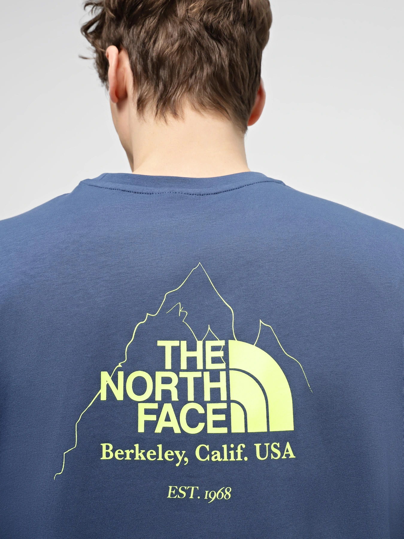 Футболки и поло The North Face Biner Graphic 4 модель NF0A894ZHDC1 Футболки и поло The North Face Biner Graphic 4 модель NF0A894ZHDC1 Фото