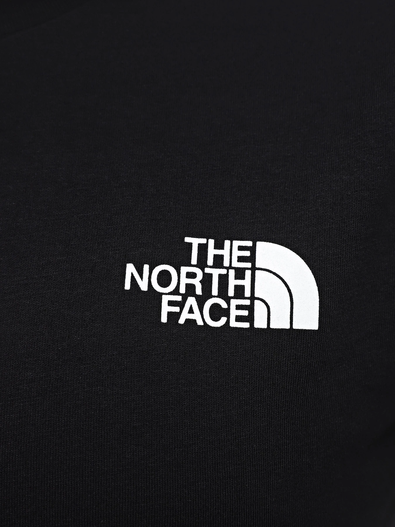 Футболки і поло The North Face Graphic Half Dome модель NF0A8952UK41 Футболки і поло The North Face Graphic Half Dome модель NF0A8952UK41 Фото
