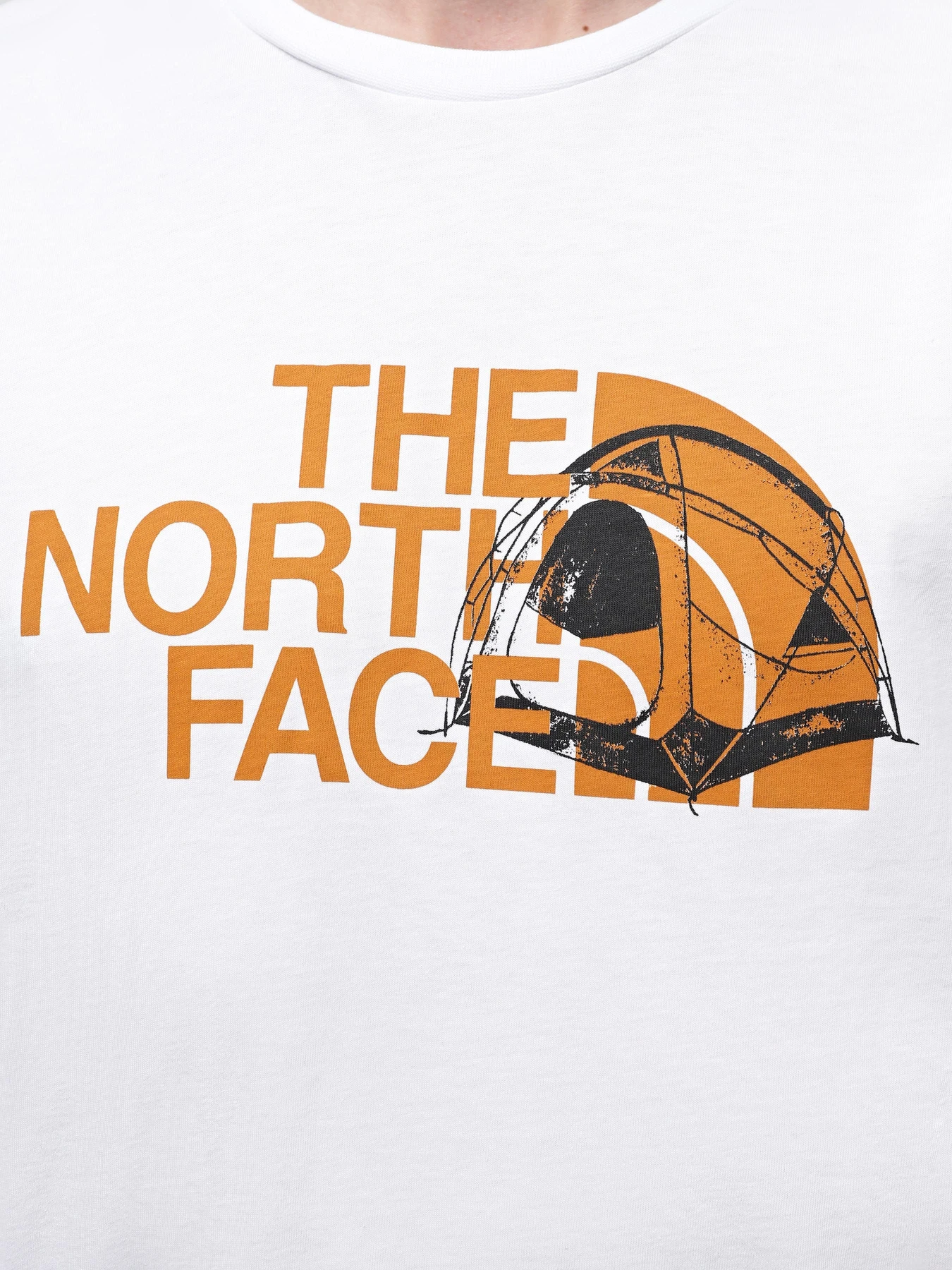 Футболки и поло The North Face M S/S Graphic Half Dome Tee модель NF0A8954FN41 Футболки и поло The North Face M S/S Graphic Half Dome Tee модель NF0A8954FN41 Фото