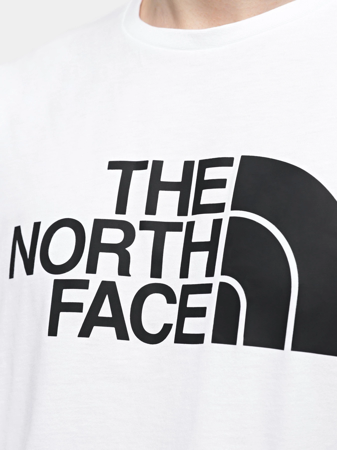 Футболки і поло The North Face M S/S Half Dome Tee - Eu модель NF0A8955FN41 Футболки і поло The North Face M S/S Half Dome Tee - Eu модель NF0A8955FN41 Фото