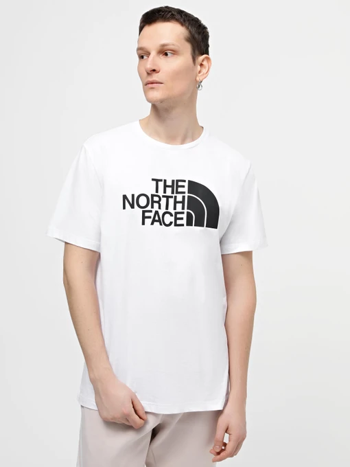 Футболки и поло The North Face M S/S Half Dome Tee - Eu модель NF0A8955FN41 Фото