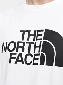 Футболки і поло The North Face M S/S Half Dome Tee - Eu модель NF0A8955FN41 Фото