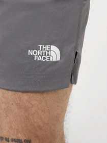 Шорты The North Face M 24/7 5'' Shorts модель NF0A882D0UZ1 Фото