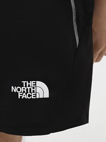 Шорты The North Face M Hakuun Short модель NF0A8846JK31 Фото