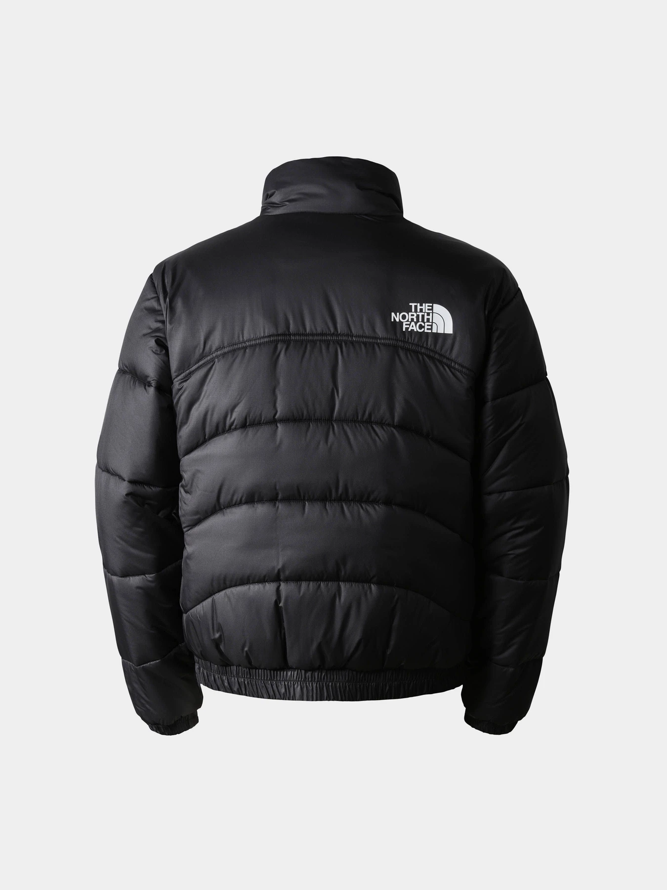 Куртки и дубленки The North Face 2000 модель NF0A7UREJK31 Куртки и дубленки The North Face 2000 модель NF0A7UREJK31 Фото