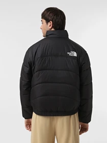 Куртки и дубленки The North Face 2000 модель NF0A7UREJK31 Фото