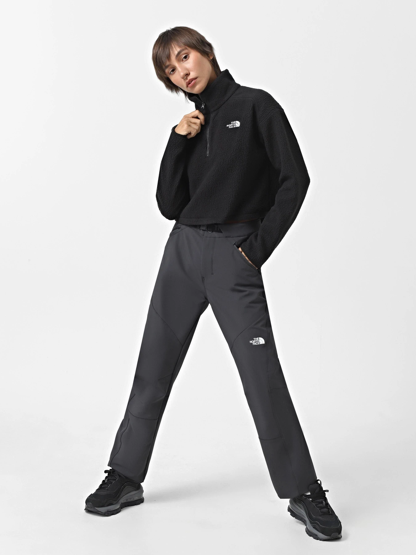 Худи и свитшоты The North Face High Pile Fleece модель NF0A5IIG4H01 Фото