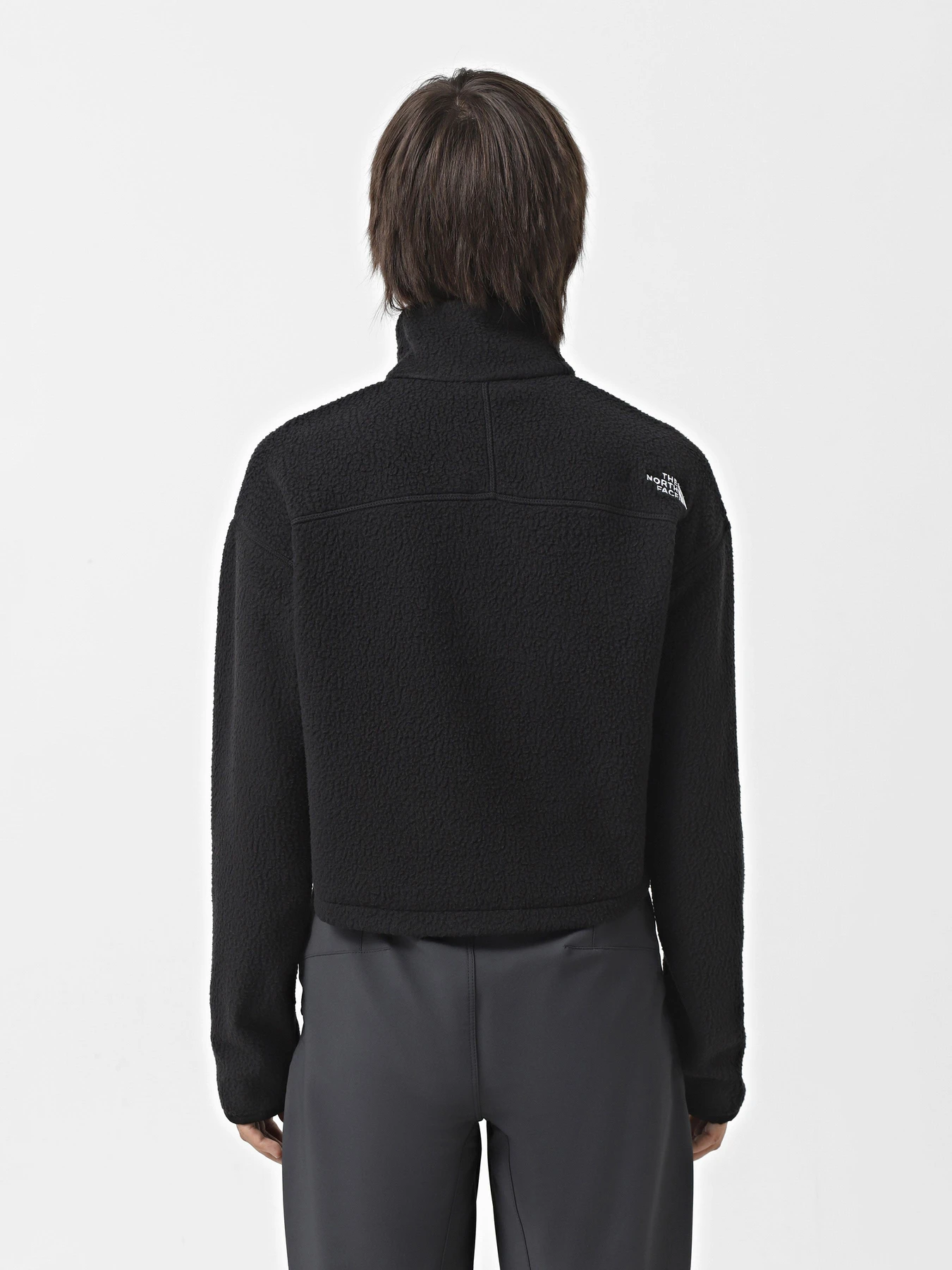 Худи и свитшоты The North Face High Pile Fleece модель NF0A5IIG4H01 Фото