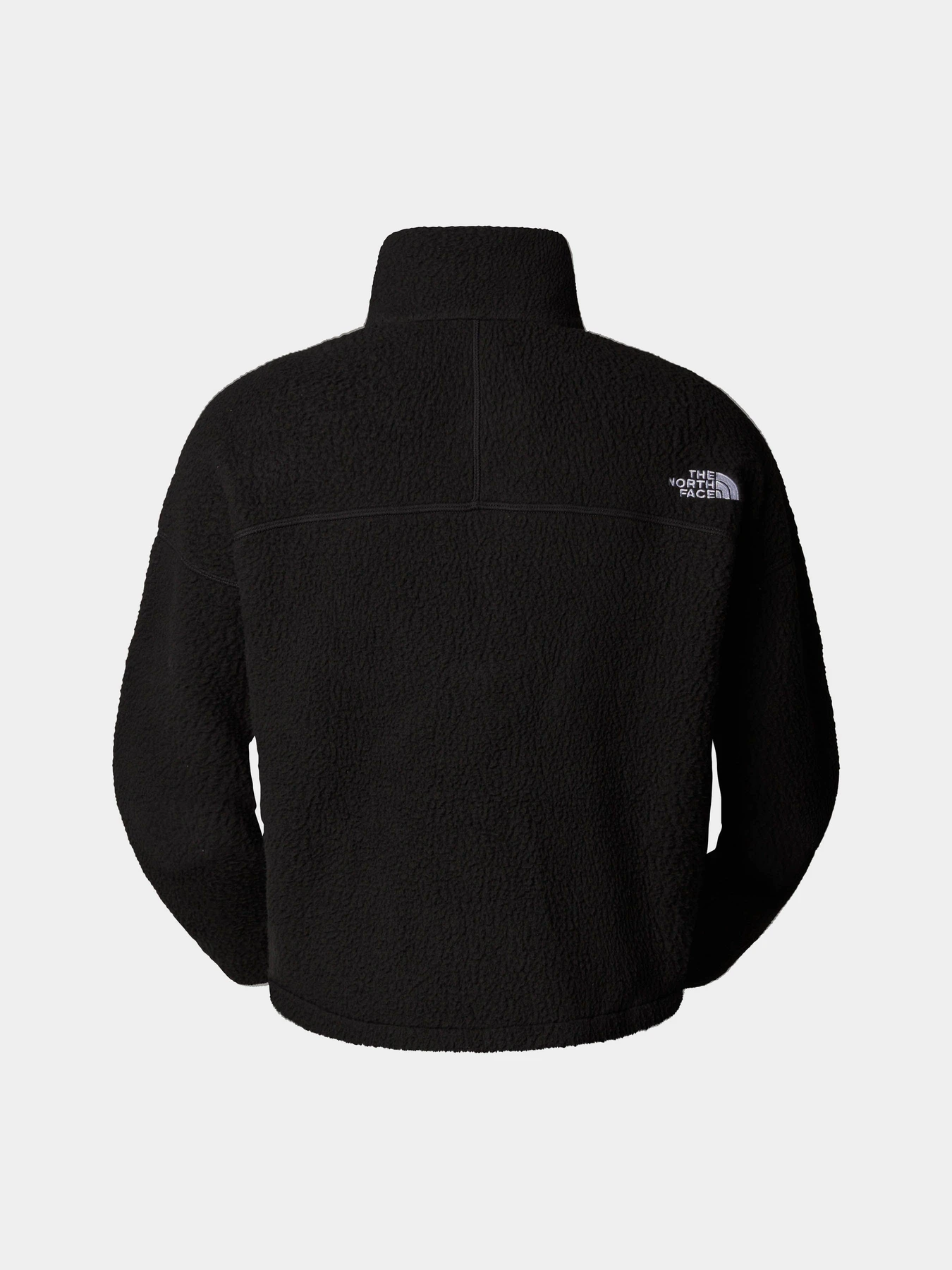 Худи и свитшоты The North Face High Pile Fleece модель NF0A5IIG4H01 Фото