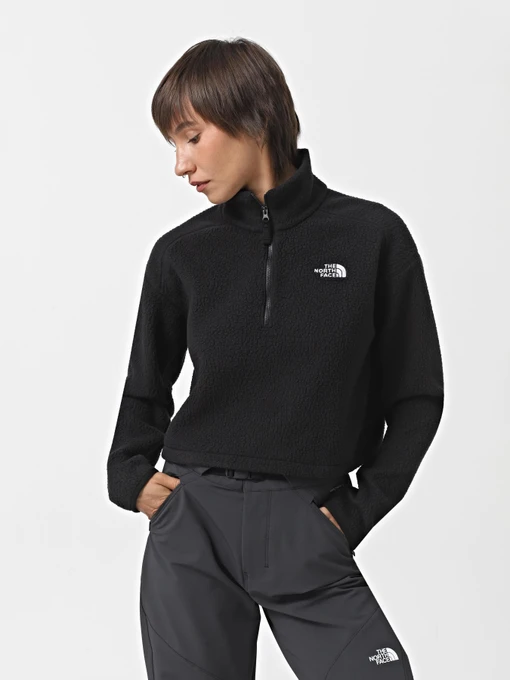 Худи и свитшоты The North Face High Pile Fleece модель NF0A5IIG4H01 Фото