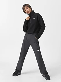 Худи и свитшоты The North Face High Pile Fleece модель NF0A5IIG4H01 Фото