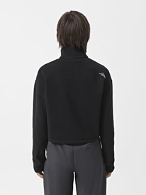 Худи и свитшоты The North Face High Pile Fleece модель NF0A5IIG4H01 Фото