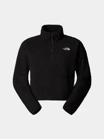 Худи и свитшоты The North Face High Pile Fleece модель NF0A5IIG4H01 Фото