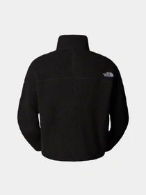 Худи и свитшоты The North Face High Pile Fleece модель NF0A5IIG4H01 Фото
