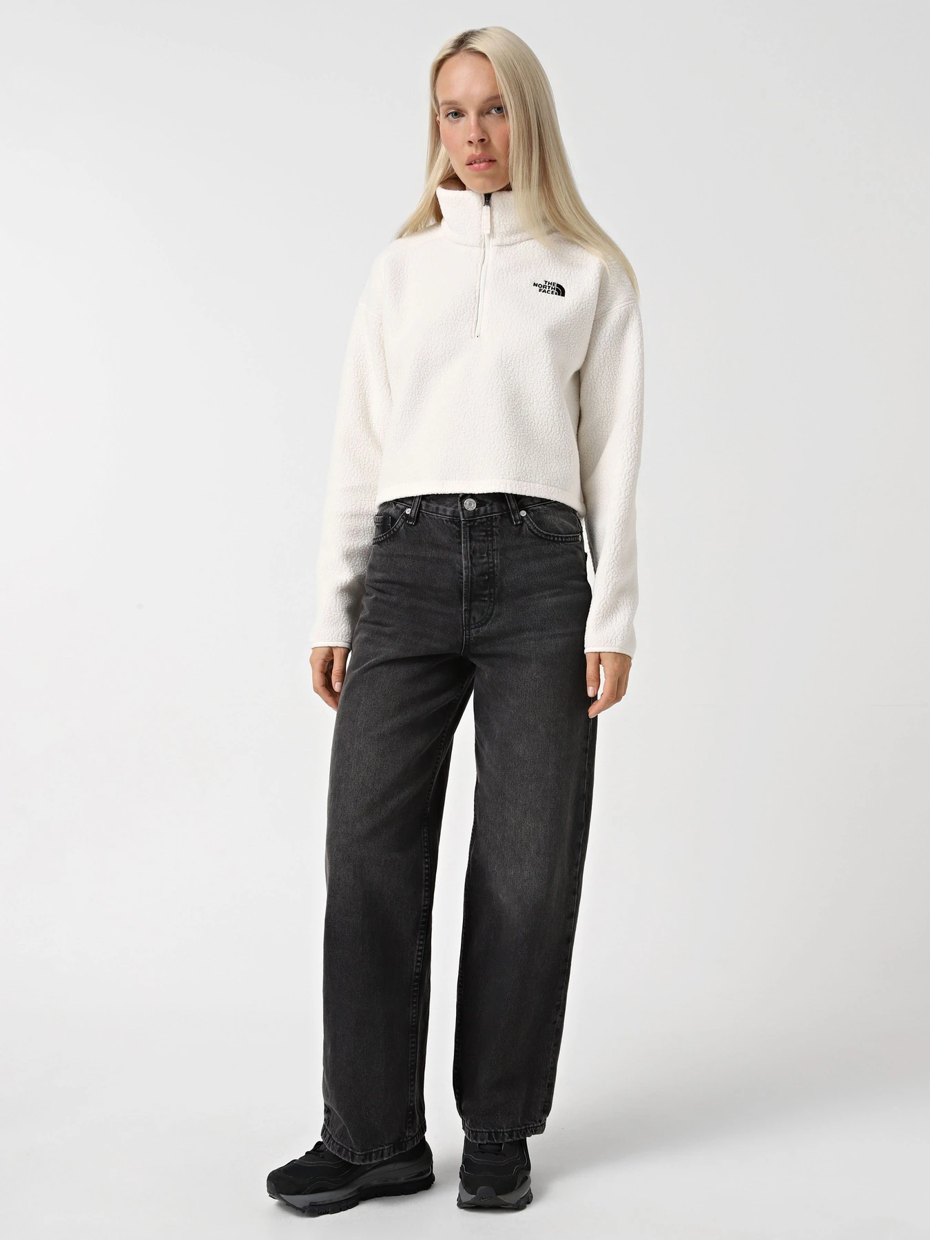 Худі та світшоти The North Face High Pile Fleece модель NF0A5IIGQLI1 Худі та світшоти The North Face High Pile Fleece модель NF0A5IIGQLI1 Фото