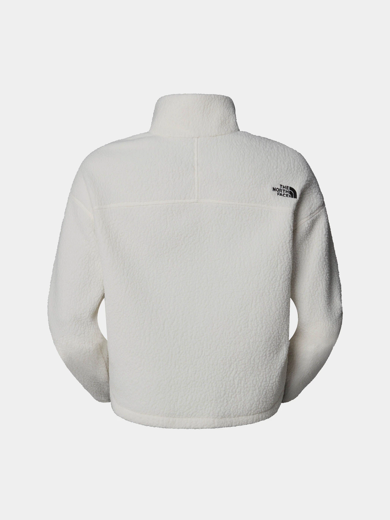 Худі та світшоти The North Face High Pile Fleece модель NF0A5IIGQLI1 Худі та світшоти The North Face High Pile Fleece модель NF0A5IIGQLI1 Фото