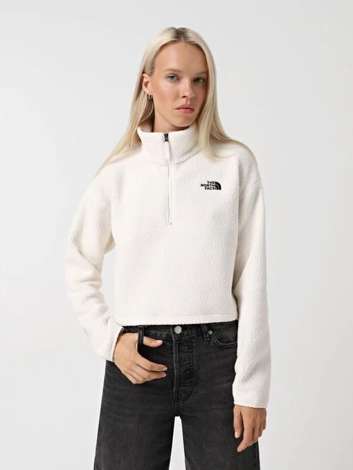 Худи и свитшоты The North Face High Pile Fleece модель NF0A5IIGQLI1 Фото