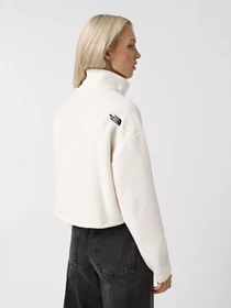 Худі та світшоти The North Face High Pile Fleece модель NF0A5IIGQLI1 Фото