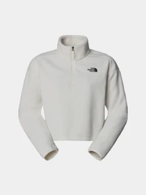 Худі та світшоти The North Face High Pile Fleece модель NF0A5IIGQLI1 Фото