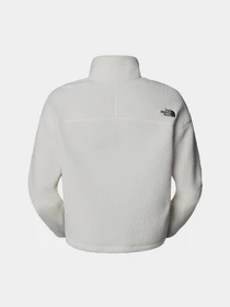 Худі та світшоти The North Face High Pile Fleece модель NF0A5IIGQLI1 Фото