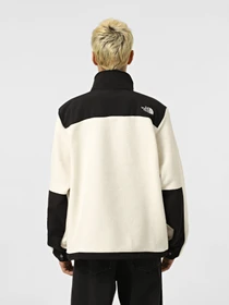 Худі та світшоти The North Face Retro Denali модель NF0A88XHBIX1 Фото
