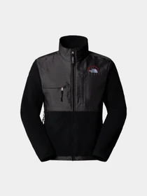 Худі та світшоти The North Face Retro Denali модель NF0A88XH4O41 Фото