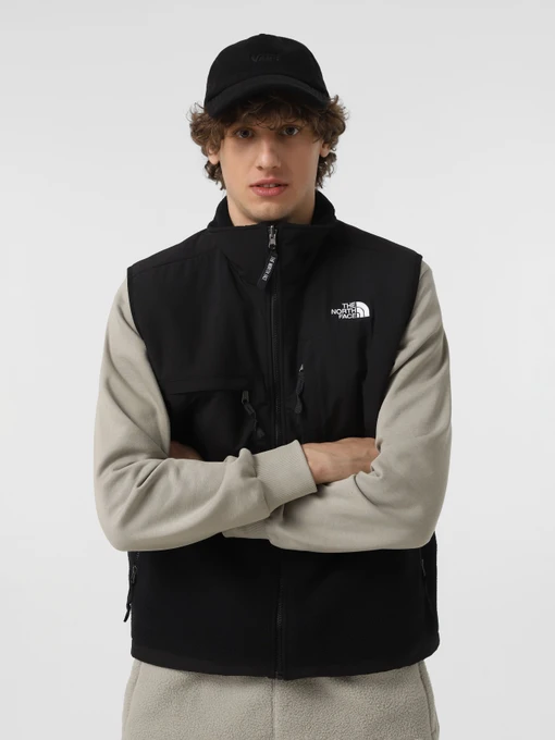Куртки та дублянки The North Face Retro Denali модель NF0A88XJJK31 Фото