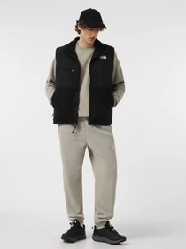 Куртки та дублянки The North Face Retro Denali модель NF0A88XJJK31 Фото