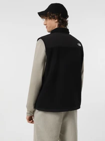 Куртки та дублянки The North Face Retro Denali модель NF0A88XJJK31 Фото
