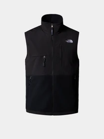 Куртки та дублянки The North Face Retro Denali модель NF0A88XJJK31 Фото
