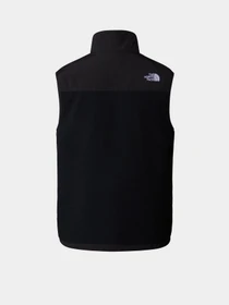 Куртки та дублянки The North Face Retro Denali модель NF0A88XJJK31 Фото