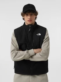 Куртки та дублянки The North Face Retro Denali модель NF0A88XJJK31 Фото