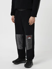 Штани The North Face Retro Denali модель NF0A88XK4O41 Фото