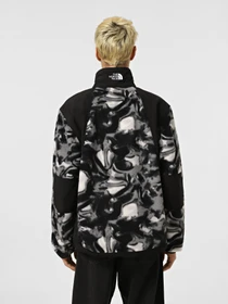 Худи и свитшоты The North Face Polar Sun Fleece модель NF0A88XP5OO1 Фото