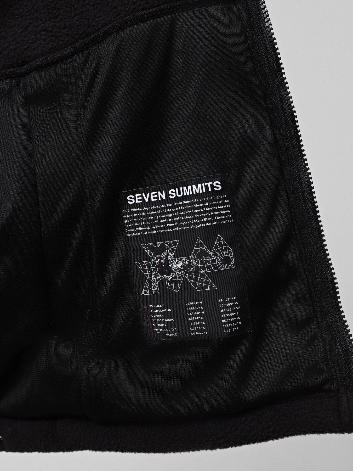 Худі та світшоти The North Face Fleeski модель NF0A88XQJK31 Худі та світшоти The North Face Fleeski модель NF0A88XQJK31 Фото