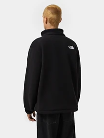 Худі та світшоти The North Face Fleeski модель NF0A88XQJK31 Фото