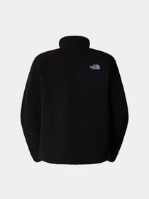 Худі та світшоти The North Face Fleeski модель NF0A88XQJK31 Фото