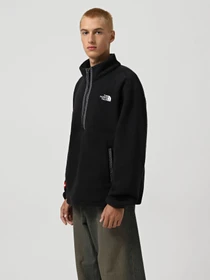 Худі та світшоти The North Face Fleeski модель NF0A88XRJK31 Фото