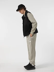 Штани The North Face Fleeski модель NF0A88XS1I41 Фото