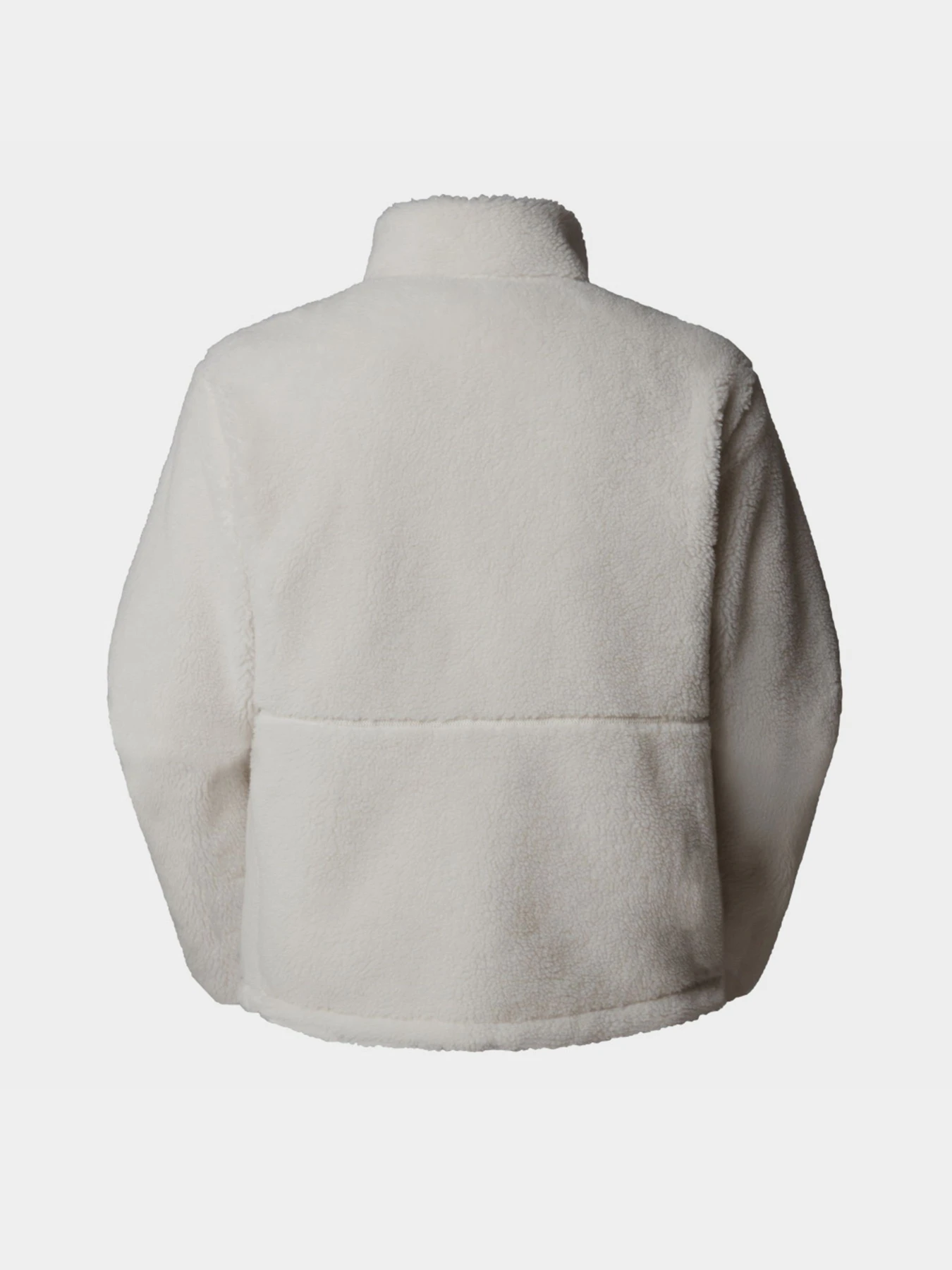 Худі та світшоти The North Face Extreme Pile модель NF0A88Y5QLI1 Худі та світшоти The North Face Extreme Pile модель NF0A88Y5QLI1 Фото