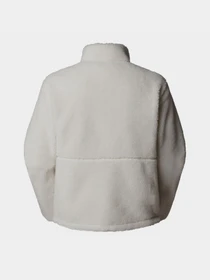 Худі та світшоти The North Face Extreme Pile модель NF0A88Y5QLI1 Фото