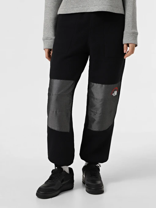 Брюки The North Face Retro Denali модель NF0A88YS4O41 Фото